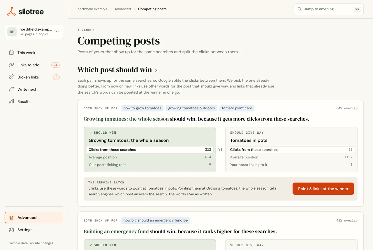 Competing posts: a pair of posts that show up for the same searches, which one should win and why, their clicks and positions side by side, and a Point links at the winner button